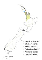 Veronica saxicola distribution map based on databased records at AK, CHR & WELT.
 Image: K.Boardman © Landcare Research 2022 CC-BY 4.0
